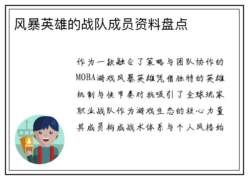 风暴英雄的战队成员资料盘点